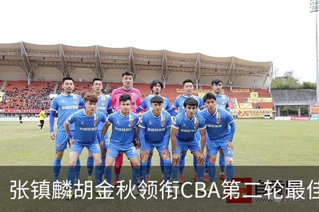 张镇麟胡金秋领衔CBA第二轮最佳阵容 付豪篮板称王